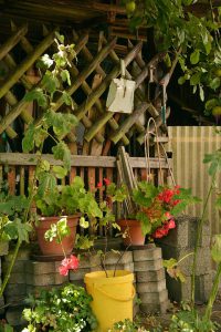 allotment-1603600_960_720